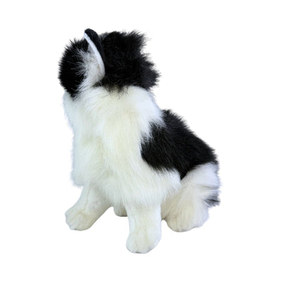 Angus (Piebald Cat - 34cm sitting, black and white)