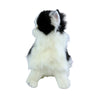Angus (Piebald Cat - 34cm sitting, black and white)