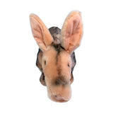 Aardvark a handmade realistic soft stuffed plush toy with airbrushed details.