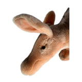 Aardvark a handmade realistic soft stuffed plush toy with airbrushed details.