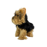 a really cute small Australian Yorkshire Terrier plush toy
