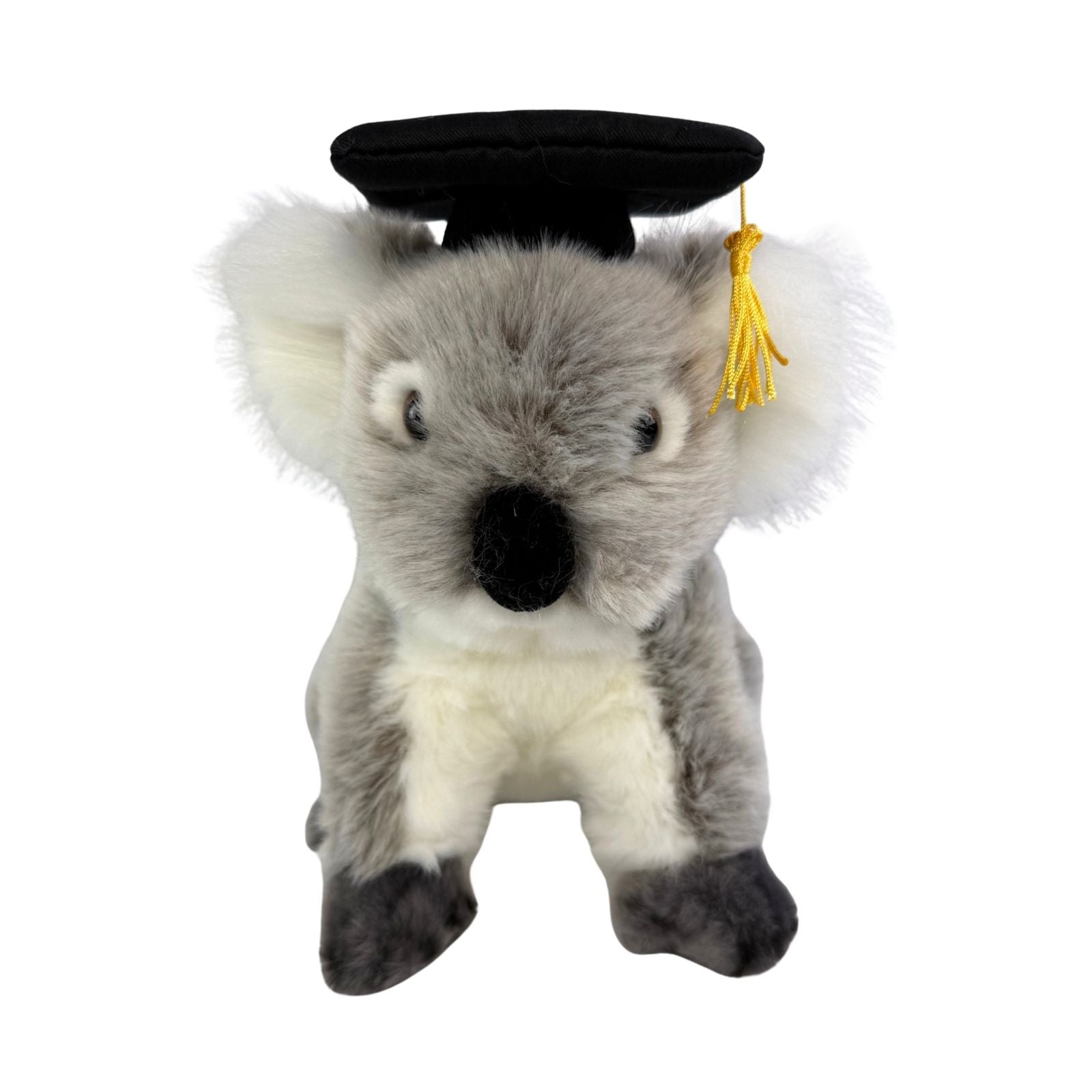 Athena Koala plush toy wearing a graduation hat