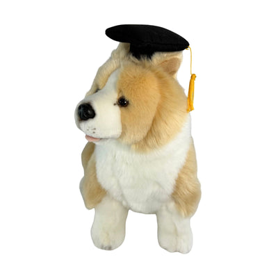 Gradhat Bailey with Graduation Hat - Border Collie - 23cm sitting, tan