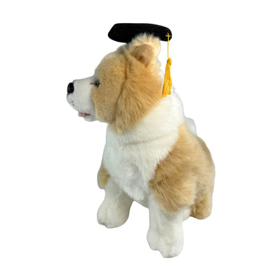 Gradhat Bailey with Graduation Hat - Border Collie - 23cm sitting, tan
