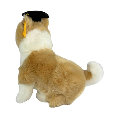Gradhat Bailey with Graduation Hat - Border Collie - 23cm sitting, tan