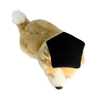Gradhat Bailey with Graduation Hat - Border Collie - 23cm sitting, tan