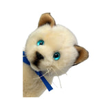 Bamboo - Kitten Siamese - 22cm, floppy