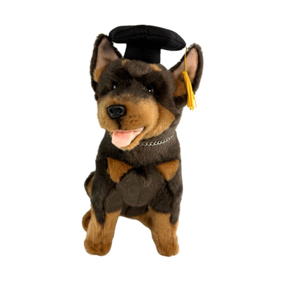 Gradhat Basil with graduation hat - Kelpie - 28cm sitting
