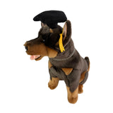 Basil Kelpie plush toy in graduation hat