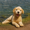 Beau (Labrador - 62cm lying, cream)