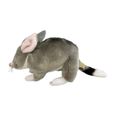 Benny - Bilby - 28cm standing