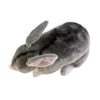Benny (Bilby - 28cm standing)