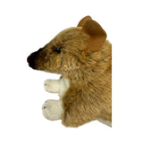 Plush toy resembling a bandicoot on a white background