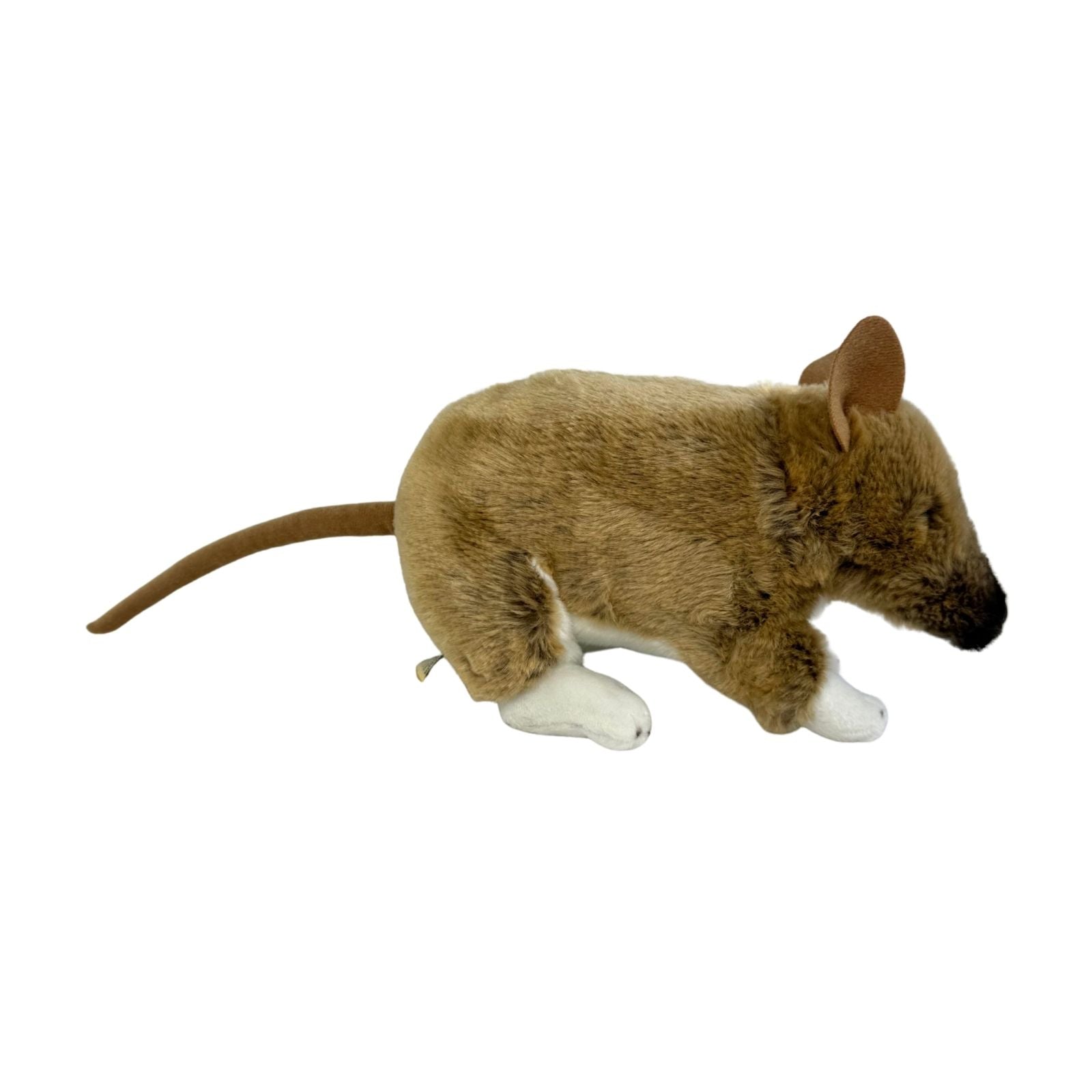 Plush toy bandicoot on a white background