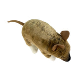 Plush toy resembling a bandicoot with mouse ears on a white background