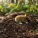 Small animal bandicoot on a pile of leaves in a forest setting.