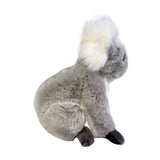 Plush toy koala on a white background