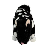 Mini Quoll plush toy front view