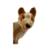 Blaze (Cattle Dog - 22cm sitting, red)