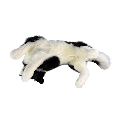 Blitz - Border Collie with satin pocket - 62cm, lying