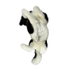 Blitz - Border Collie with satin pocket - 62cm lying