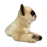 Siamese cat and is a realistic soft plush toy