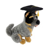 Gradhat Bluey With Graduation Hat - Cattle Dog - 22cm sitting