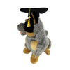 Gradhat Bluey With Graduation Hat - Cattle Dog - 22cm sitting