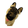 Bobby (German Shepherd - 30cm sitting, black face)