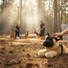 Boss (German Shepherd - 28cm floppy, black face)