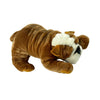 Boston  (Bulldog - 35cm lying)
