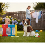 stuffed plush Border Collie dog in chaocolate and white colouring