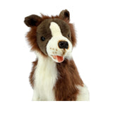 stuffed plush Border Collie dog in chaocolate and white colouring