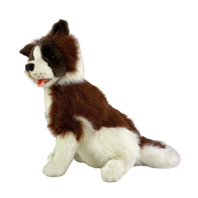 Brandy (Border Collie - 35cm sitting, chocolate)