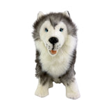 Siberian Husky soft plush toy