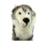 Siberian Husky soft plush toy
