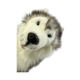 Siberian Husky soft plush toy