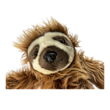 Sloth soft plush toy close up face