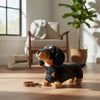Buddy (Dachshund - 36cm standing, black and tan)