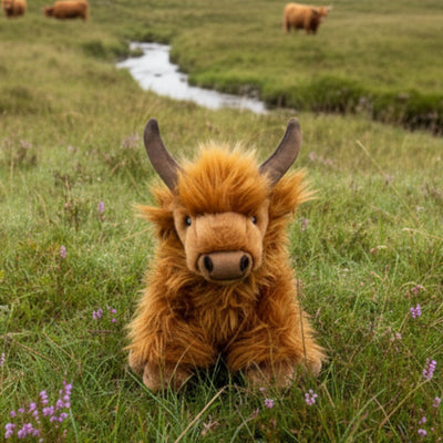 Buttercup - Highland Cow - 25cm