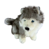 Siberian Husky puppy dog soft toy
