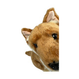 Close-up of a plush dingo head with brown fur and black eyes on a white background