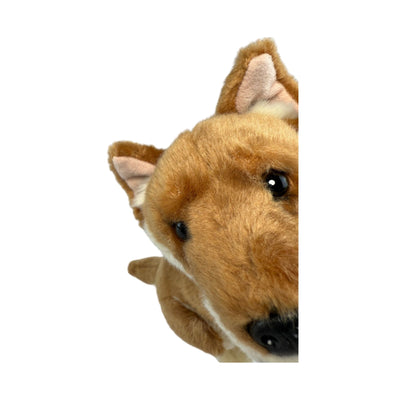 Byron - Dingo - 25cm sitting
