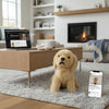 Chanel (Golden Retriever - 26cm sitting)