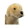 Chanel (Golden Retriever - 26cm sitting)
