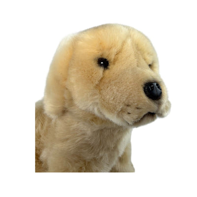 Chanel (Golden Retriever - 26cm sitting)