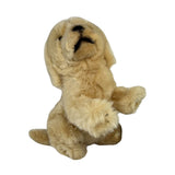 Chanel Golden Retriever stuffed toy with fluffy golden fur 