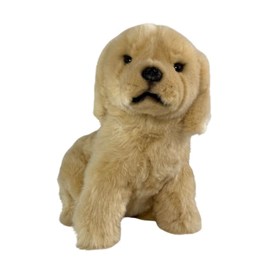 Chanel (Golden Retriever - 26cm sitting)