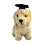 Front view of Chanel Golden Retriever in graduation hat