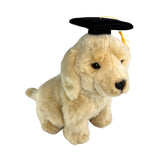 Chanel Golden Retriever in graduation hat
